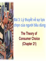 bài giảng lý thuyết về sự lựa chọn của người tiêu dùng- ĐH kinh tế