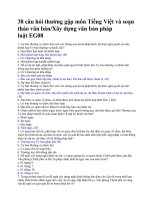 35 câu hỏi thường gặp môn Tiếng Việt và soạn thảo văn bản - Xây dựng văn bản pháp luật EG08