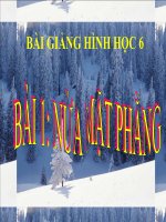 Bài giảng Hình học 6 chương 2 bài 1: Nửa mặt phẳng