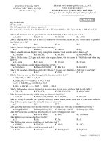Đề thi thử THPT quốc gia 2019 môn hóa học lần 1   trường THCSTHPT lương thế vinh 