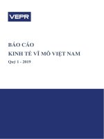 Báo cáo kinh tế vĩ mô quý 1 năm 2019 Việt Nam của VEPR