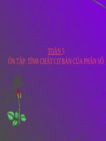 Bài giảng Toán 5 chương 1 bài 2: Ôn tập Tính chất cơ bản của phân số
