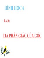 Bài giảng Hình học 6 chương 2 bài 6: Tia phân giác của góc