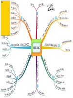 sơ đồ tư duy vật lý 12 