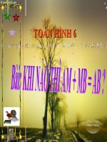 Bài giảng Hình học 6 chương 1 bài 8: Khi nào AM+MB=AB