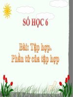 Bài giảng Số học 6 chương 1 bài 4: Số phần tử của một tập hợp. Tập hợp con