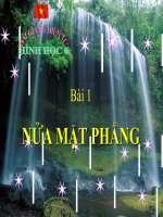 Bài giảng Hình học 6 chương 2 bài 1: Nửa mặt phẳng
