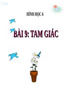 Bài giảng Hình học 6 chương 2 bài 9: Tam giác