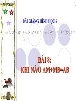 Bài giảng Hình học 6 chương 1 bài 8: Khi nào AM+MB=AB