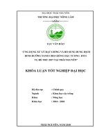 Ứng dụng xử lý hạt giống và bổ sung dung dịch dinh dưỡng nano cho giống đậu tương ĐT51 vụ Hè Thu 2017 tại Thái Nguyên (Khóa luận tốt nghiệp)