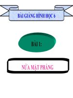 Bài giảng Hình học 6 chương 2 bài 1: Nửa mặt phẳng