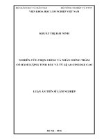 NGHIÊN CỨU CHỌN GIỐNG VÀ NHÂN GIỐNG TRÀM CÓ HÀM LƯỢNG TINH DẦU VÀ TỶ LỆ 1,8-CINEOLE CAO