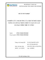 Nghiên cứu ảnh hưởng của một số điều kiện nuôi cấy lên sự nhân chồi và tạo cây lan giả hạc châu như in vitro 