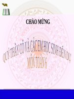 Bài giảng Số học 6 chương 3 bài 5: Quy đồng mẫu nhiều phân số