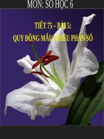 Bài giảng Số học 6 chương 3 bài 5: Quy đồng mẫu nhiều phân số