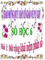 Bài giảng Số học 6 chương 3 bài 1: Mở rộng khái niệm phân số