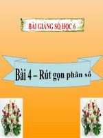 Bài giảng Số học 6 chương 3 bài 4: Rút gọn phân số