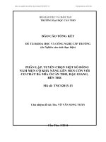 PHÂN LẬP, TUYỂN CHỌN MỘT SỐ DÒNGNẤM MEN CÓ KHẢ NĂNG LÊN MEN CỒN VỚICƠ CHẤT BÃ MÍA Ở CẦN THƠ, HẬU GIANG,BẾN TRE