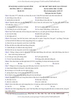 TS247 DT de thi thu thpt qg mon lich su so gd dt ha tinh lan 1 nam 2019 co loi giai chi tiet  32093 1551633236 