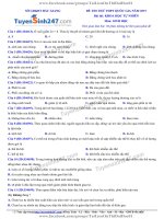 TS247 DT de thi thu thpt qg mon sinh so gd dt bac giang lan 1 nam 2019 co loi giai chi tiet  35267 1556879735 