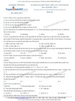 TS247 DT de thi thu thpt qg mon sinh so gd dt vinh phuc lan 1 nam 2019 co loi giai chi tiet  27253 1545282108 