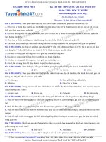 TS247 DT de thi thu thpt qg mon sinh so gd dt vinh phuc lan 2 nam 2019 co loi giai chi tiet  35963 1558437748 