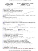 TS247 DT de thi thu thpt qg mon lich su lien truong thpt nghe an lan 2 nam 2019 co loi giai chi tiet  35617 1557116469 