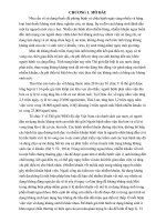 Khảo sát tình hình sử dụng kháng sinh, khoa ngoại chấn thương chỉnh hình bỏng bệnh viện đa khoa thành phố cần thơ 