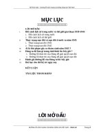 Bài thảo luận Đường lối ĐCSVN