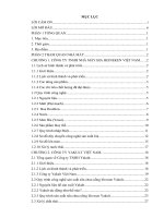 BCTT tại công ty TNHH nhà máy bia  heineken việt nam 