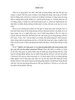 Nghiên cứu tổng quan về các phương pháp đánh giá tương đương sinh học của viên nén bao phim cefuroxim 500 mg 