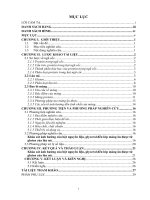 Sản xuất màng ăn được từ gluten của lúa mì ứng dụng làm bao bì thực phẩm 