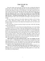 Hoạch định chiến lược marketing dịch vụ thẻ của ngân hàng thương mại cổ phần xuất nhập khẩu việt nam – chi nhánh tây đô 