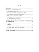 Chuyên đề toàn cầu hoá và hội nhập kinh tế quốc tế tìm hiểu về apec 