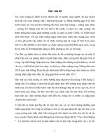 Tiểu luận đề tài tay chân miệng 