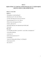 Báo cáo thực hành môn hóa dược 