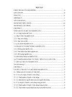 Phân tích các nhân tố ảnh hưởng đến quyết định của khách hàng tiếp tục chọn dịch vụ du lịch lữ hành của khách sạn ninh kiều 2   thành phố cần thơ 