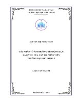 Các nhân tố ảnh hưởng đến động lực làm việc của cán bộ, nhân viên trường đại học đông á 