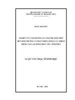 Luận văn nghiên cứu ảnh hưởng của mật độ, phân bón đến sinh trưởng và phát triển giống lúa TBR225 trồng tại cao minh, phúc yên, vĩnh phúc 