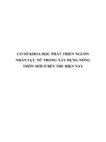 CƠ sở KHOA học PHÁT TRIỂN NGUỒN NHÂN lực nữ TRONG xây DỰNG NÔNG THÔN mới ở bến TRE HIỆN NAY 