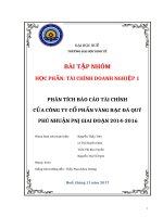 PHÂN TÍCH BÁO CÁO TÀI CHÍNH  CỦA CÔNG TY CỔ PHẦN VÀNG BẠC ĐÁ QUÝ  PHÚ NHUẬN PNJ GIAI ĐOẠN 20142016
