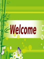 kinh tế môi trường  về vấn đề vệ sinh an toàn thực phẩm