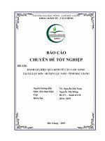 “Đánh giá hiệu quả kinh tế sản xuất cây cam sành tại xã lục sơn   huyện lục nam   tỉnh bắc giang”