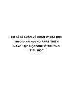 CƠ sở lý LUẬN về QUẢN lý dạy học THEO ĐỊNH HƯỚNG PHÁT TRIỂN NĂNG lực học SINH ở TRƯỜNG TIỂU học 
