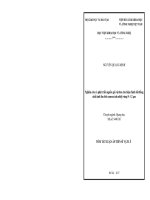 Nghiên cứu và phát triển nguồn giả vật đen cho hiệu chỉnh bất đồng nhất ảnh thu bởi camera ảnh nhiệt cùng 8 12 µm tt