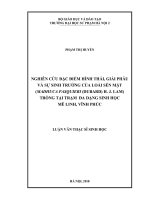 Nghiên cứu đặc điểm hình thái, giải phẫu và sự sinh trưởng của loài sến mật trồng tại trạm đa dạng sinh học mê linh – vĩnh phúc 