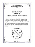 marketing  hành vi người tiêu dùng