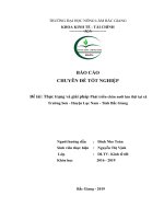 Thực trạng và giải pháp phát triển chăn nuôi lợn thịt