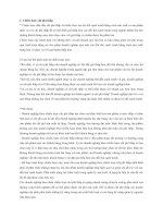 Tài liệu ôn thi Quản trị chiến lược (3tc)   ĐH Kinh tế quốc dân