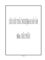 Đề thi nội trú giải phẫu đại học y hà nội